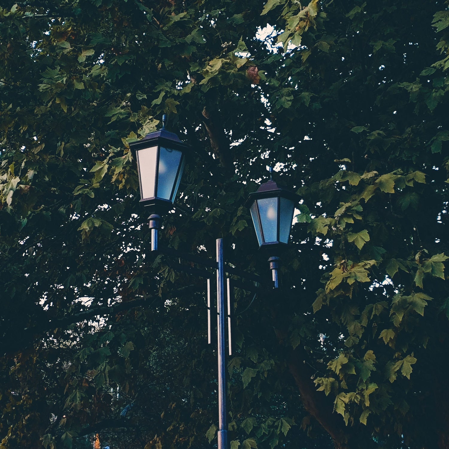 Lamps